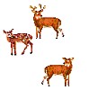 3deer.gif