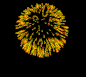 fire_works6.gif