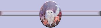 kittenbar.jpg