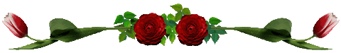 rose-bar.gif