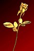 goldrose.gif