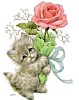 kitty-rose.gif